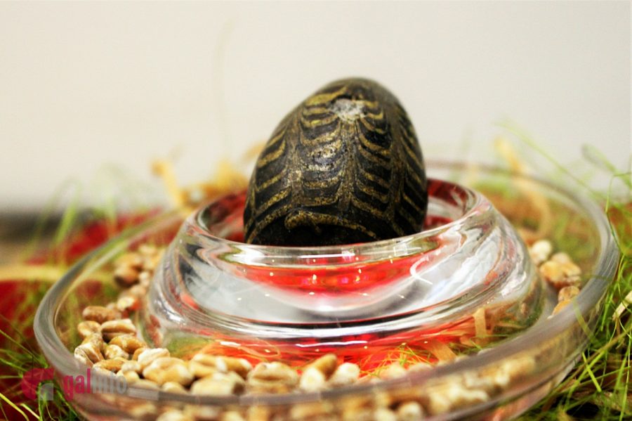 Експозиція виставки. Фото: Олена Ляхович