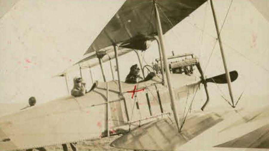 Свен Гедін, Карпати, 1914-1918