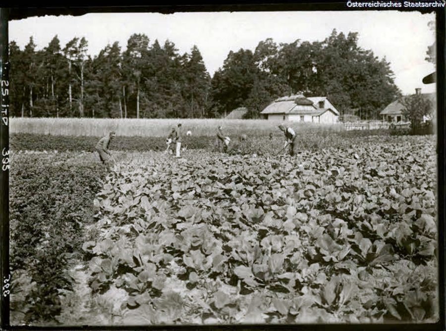 Підмонастирок (Радехівський район Львівська обл.) часів Першої світової війни