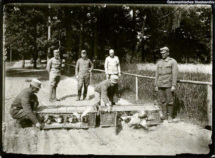 Підмонастирок (Радехівський район Львівська обл.) часів Першої світової війни