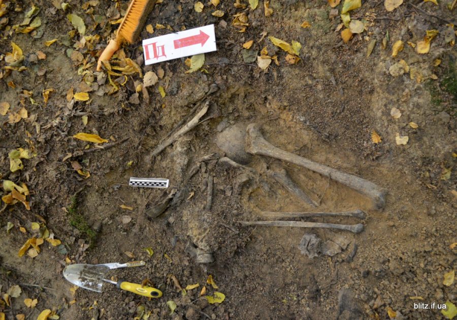 Фото: Блінц-інфо