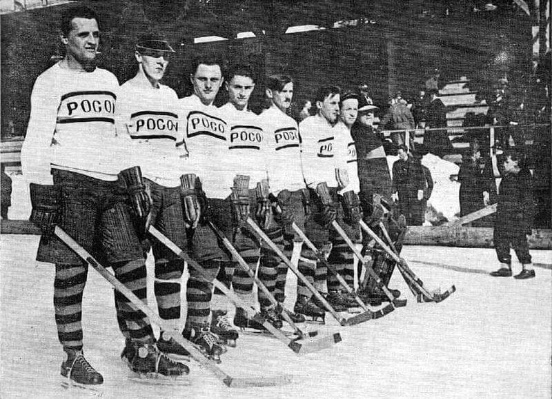 Хокейна команда «Погонь» (Львів)