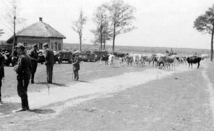 Кавалеристи СС в українському селі