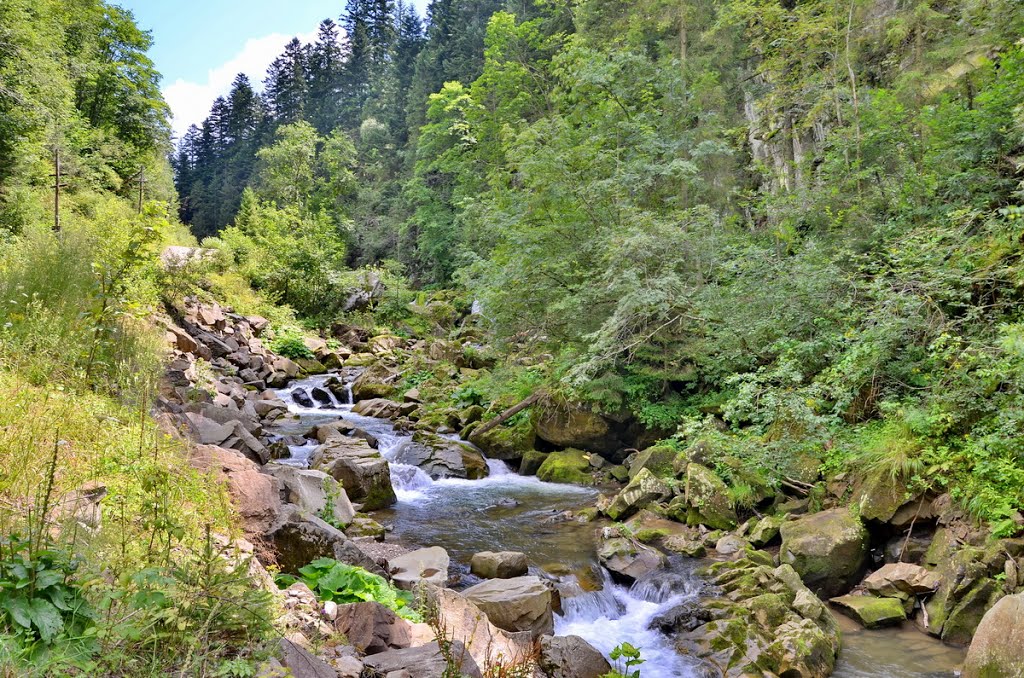 Національний природний парк "Сколівські Бескиди". Фото: panoramio.com