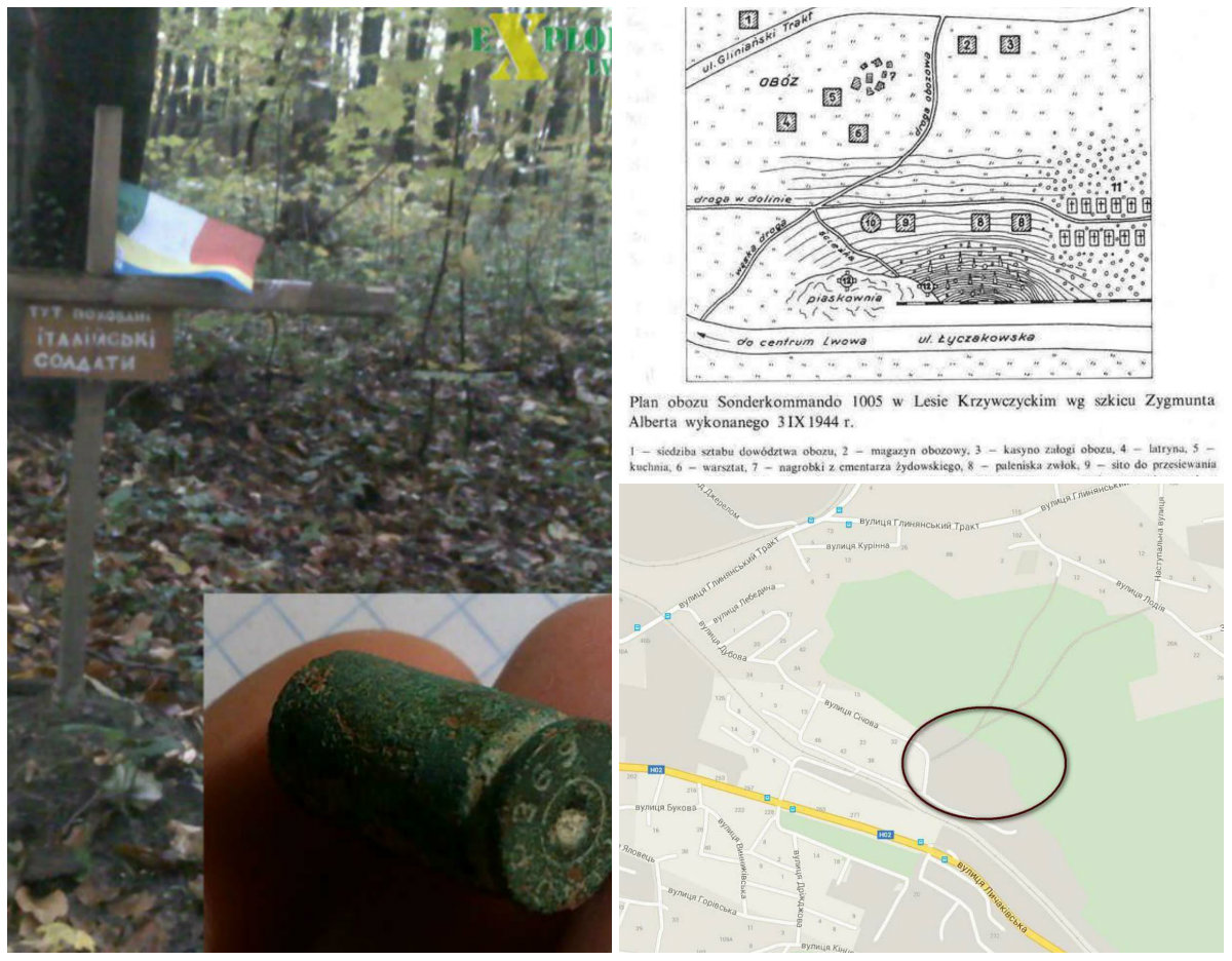 Трагедія Лисинецького лісу