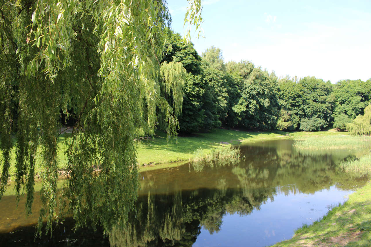 Парк "Піскові озера". Фото 2015 року