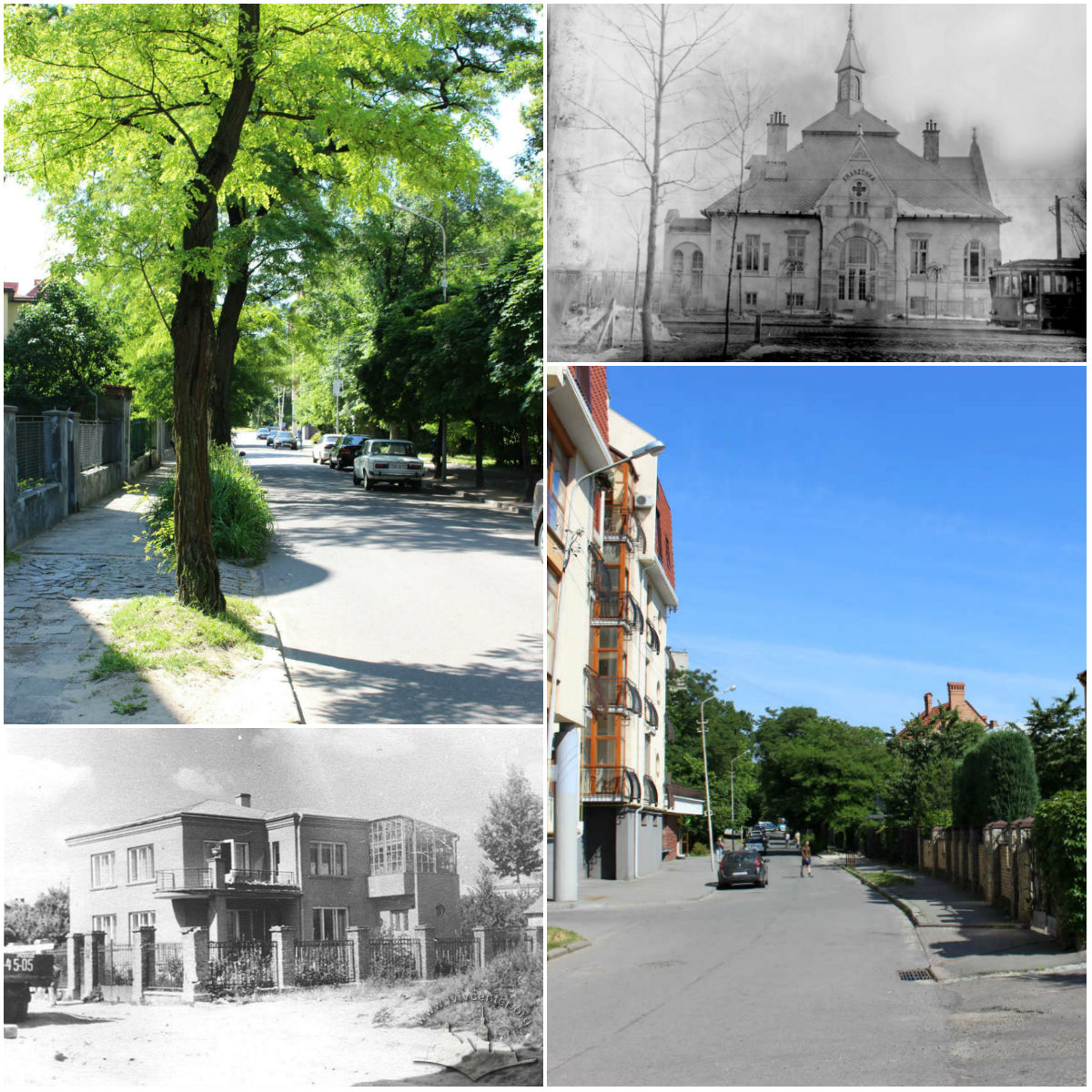 Вулиця Гординських, що народилась зі стежки до фабрики гіпсу