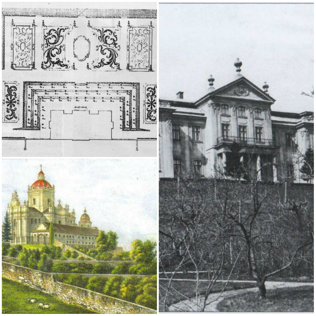 Святоюрські митрополичі сади - забута окраса міста