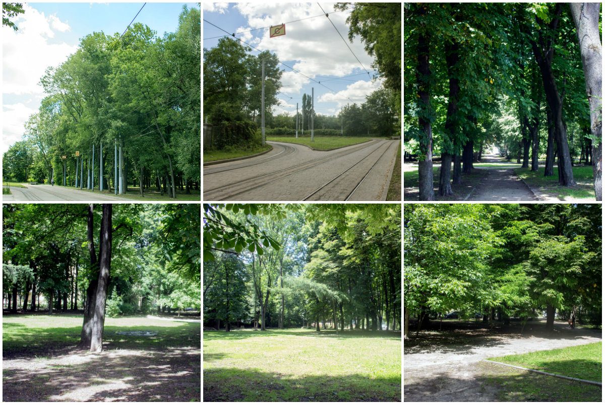 Кульпарківський парк у Львові