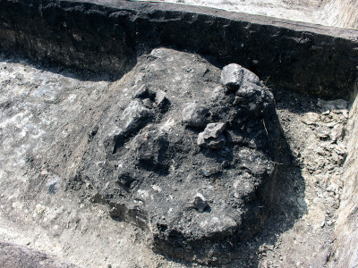 Залишки житлової споруди в одному з кутів якої знайдена піч-кам'янка.