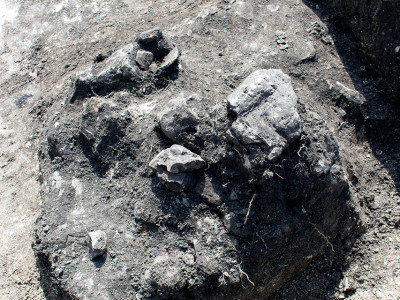 Залишки житлової споруди в одному з кутів якої знайдена піч-кам'янка.