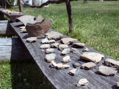 Знахідки археологічної експедиції.