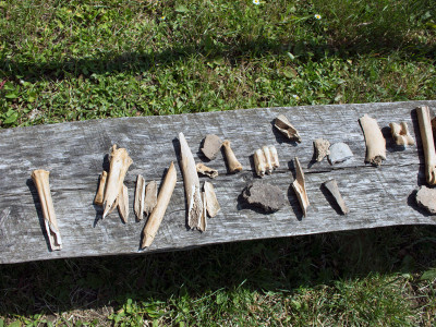 Знахідки археологічної експедиції.