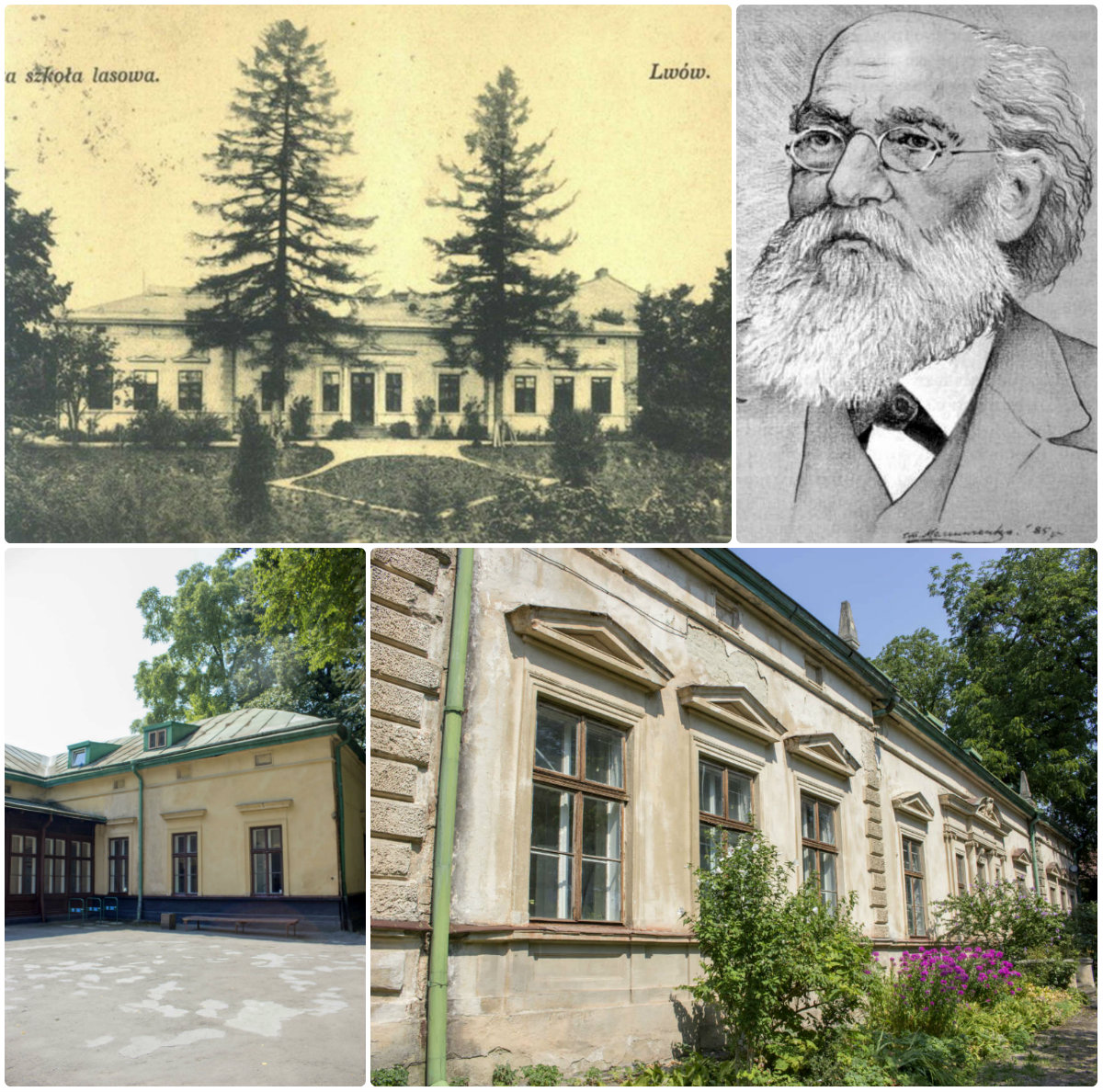 Львівська школа лісівництва, або освіта під патронатом графа Дідушицького