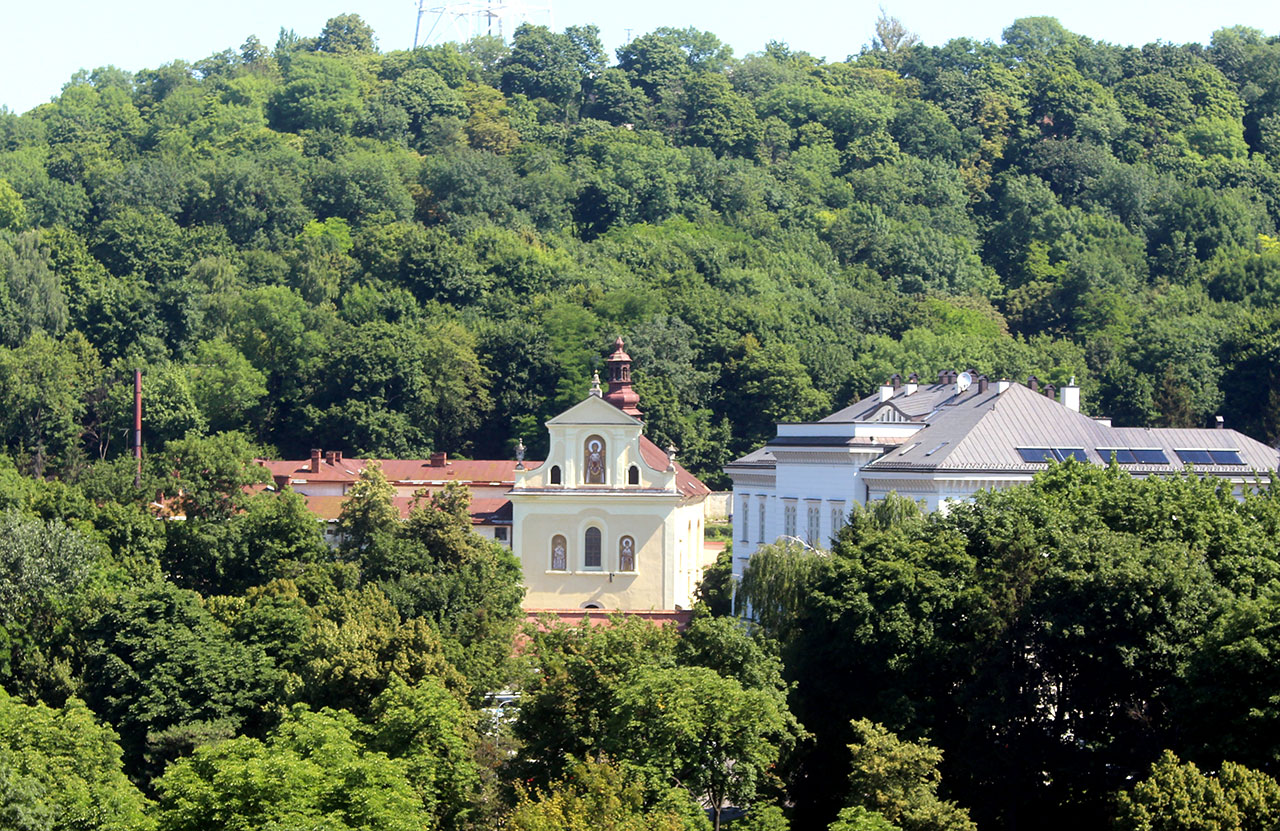 Церква Св. Климента Шептицького. 2015 р., вигляд з вежі Корнякта