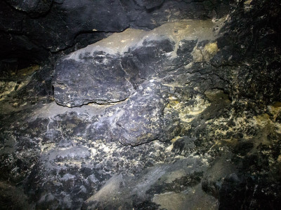 Медова печера У Львові, фото 2015 року