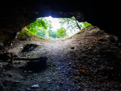 Медова печера У Львові, фото 2015 року