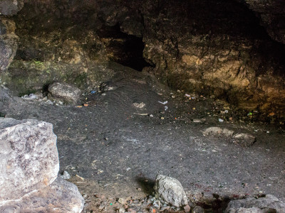 Медова печера У Львові, фото 2015 року