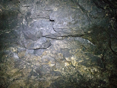 Медова печера У Львові, фото 2015 року