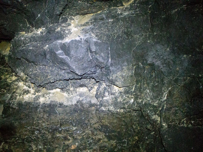 Медова печера У Львові, фото 2015 року