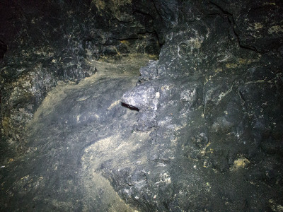 Медова печера У Львові, фото 2015 року