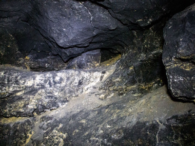 Медова печера У Львові, фото 2015 року