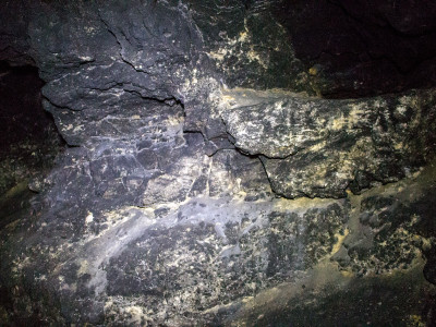 Медова печера У Львові, фото 2015 року