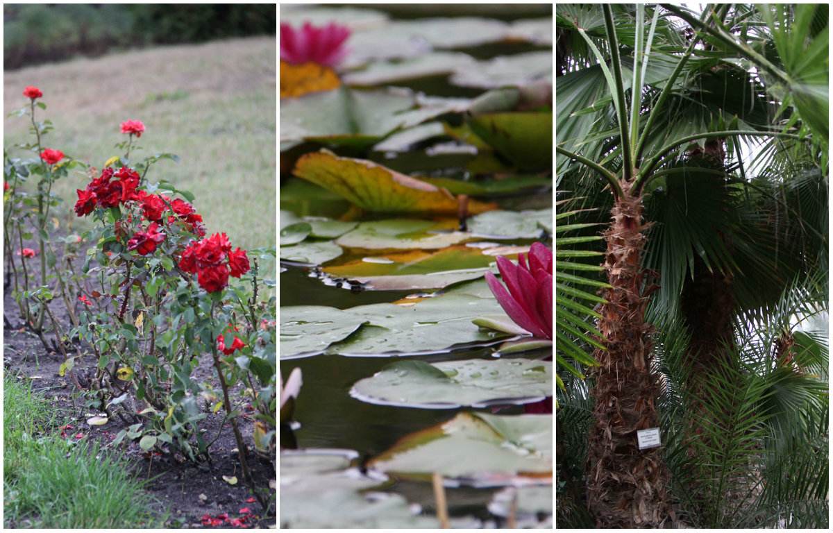 "Гарбузова осінь" в ботанічному саду