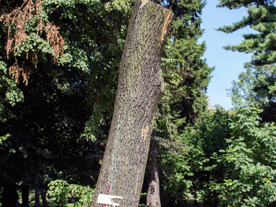 Сквер Святого Юра