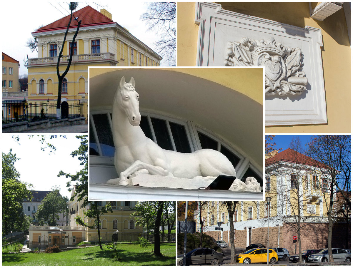 Загадковий будинок з коником, або бібліотека Баворовських