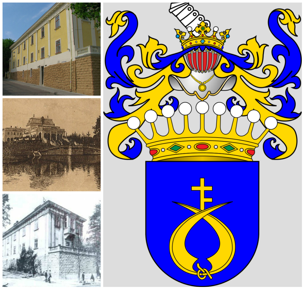 Бібліотека, карета з верблюдами і кам’яниця без вікон: Баворовські у Львові