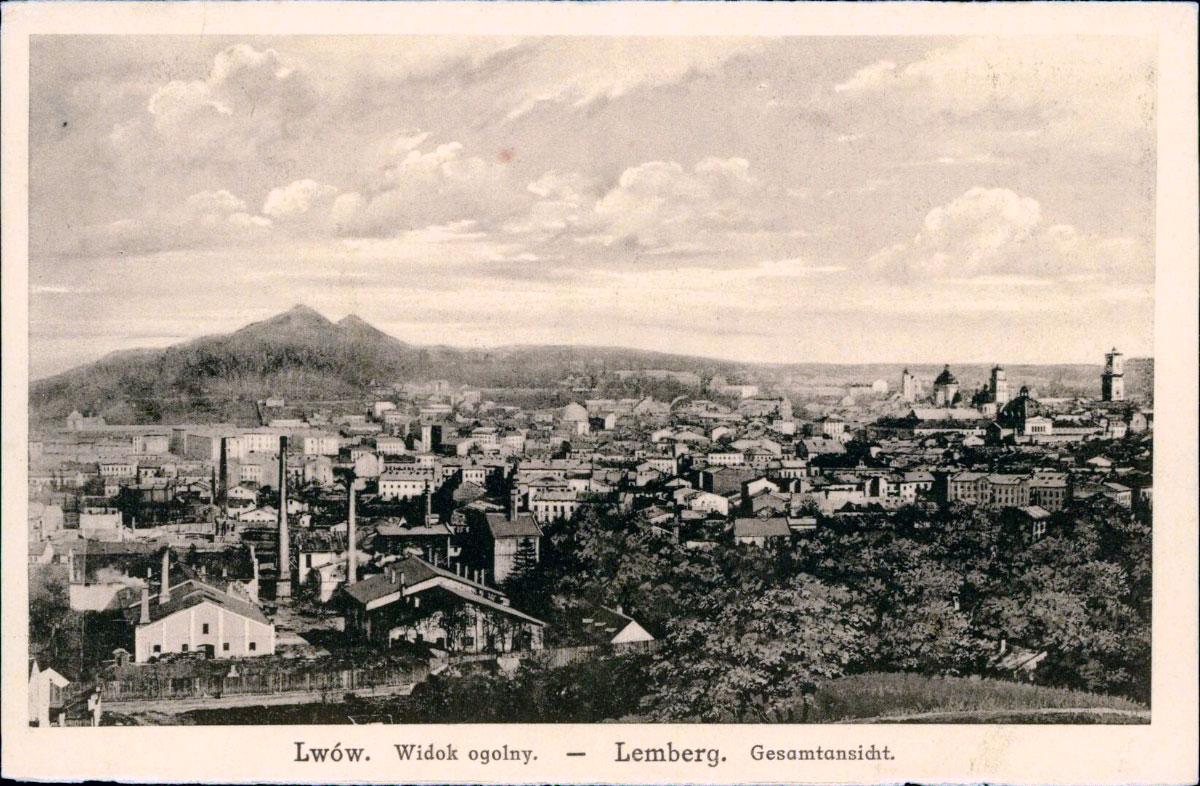 Панорама Львова з Гори Страт, за деревами простягається вулиця Клепарівська, 1915 рік