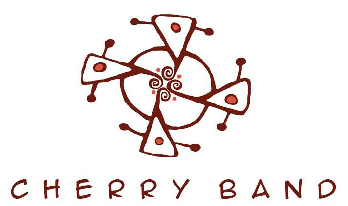 Колядка "В неділю рано" в стилі cup song