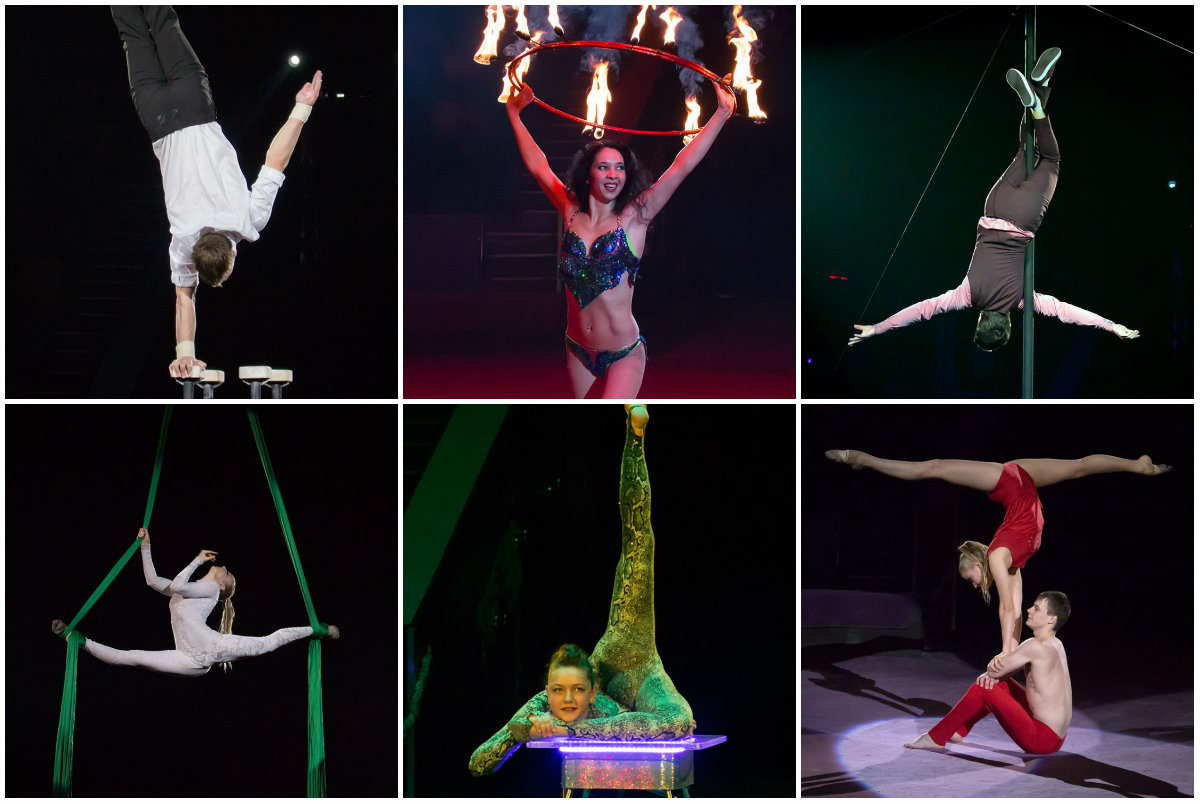 Циркова "Зимова круговерть" прощається зі Львовом