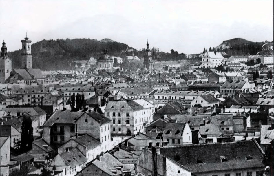 Загальний вид львівського середмістя з гори Вроновських. Фото Юзефа Едера