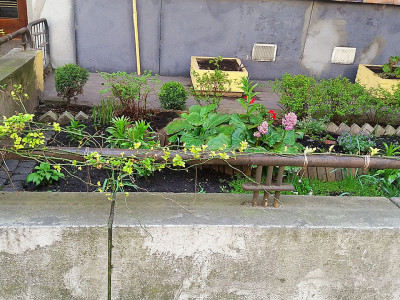 Львів, вул. Герцена 5. Невелика клумба перед фасадом будинку.