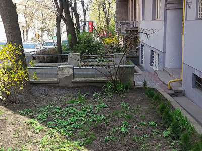 Львів, вул. Дорошенка 49. Невелика клумба перед фасадом будинку.