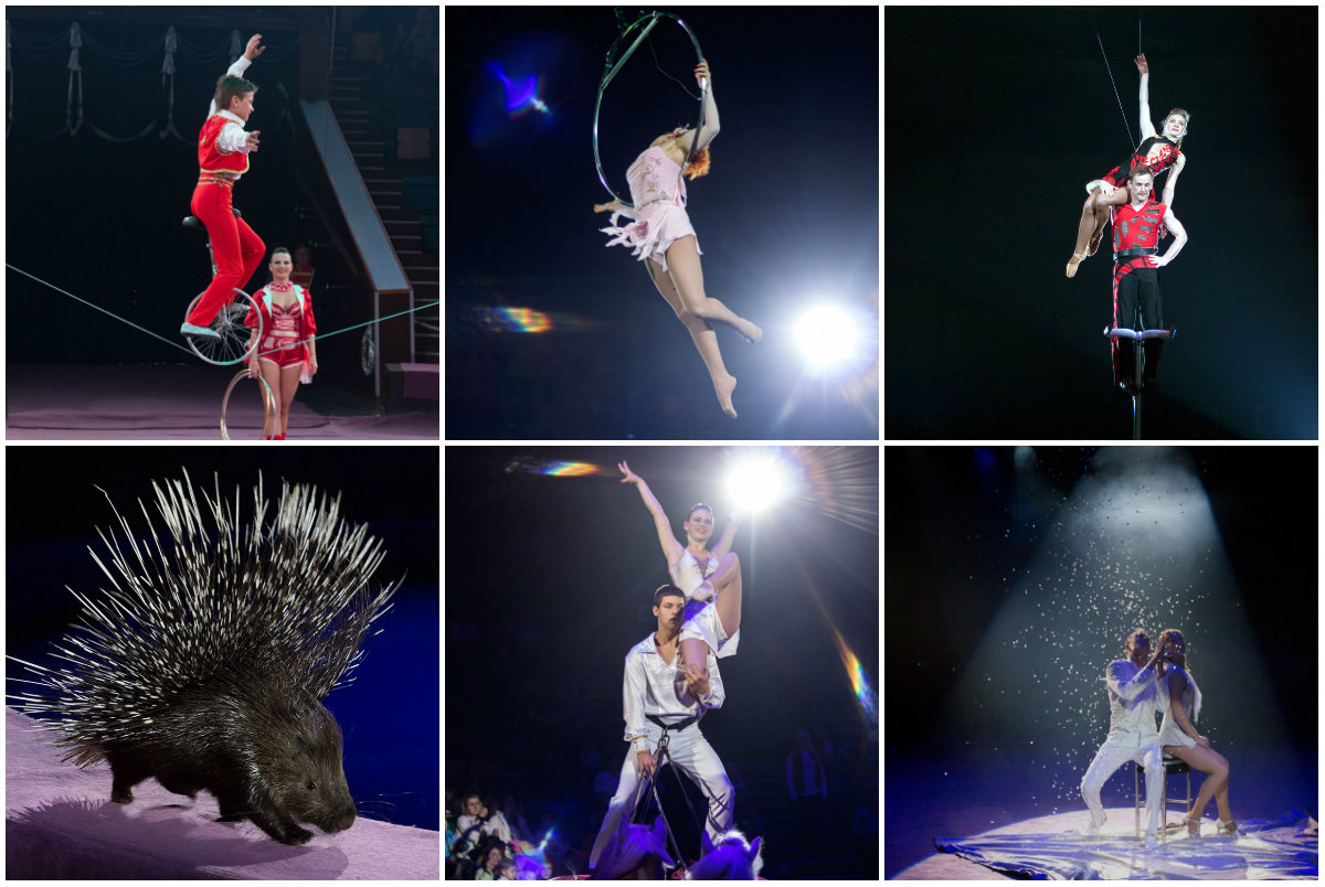 "Карнавал удачі", або остання прем'єра Львівського цирку