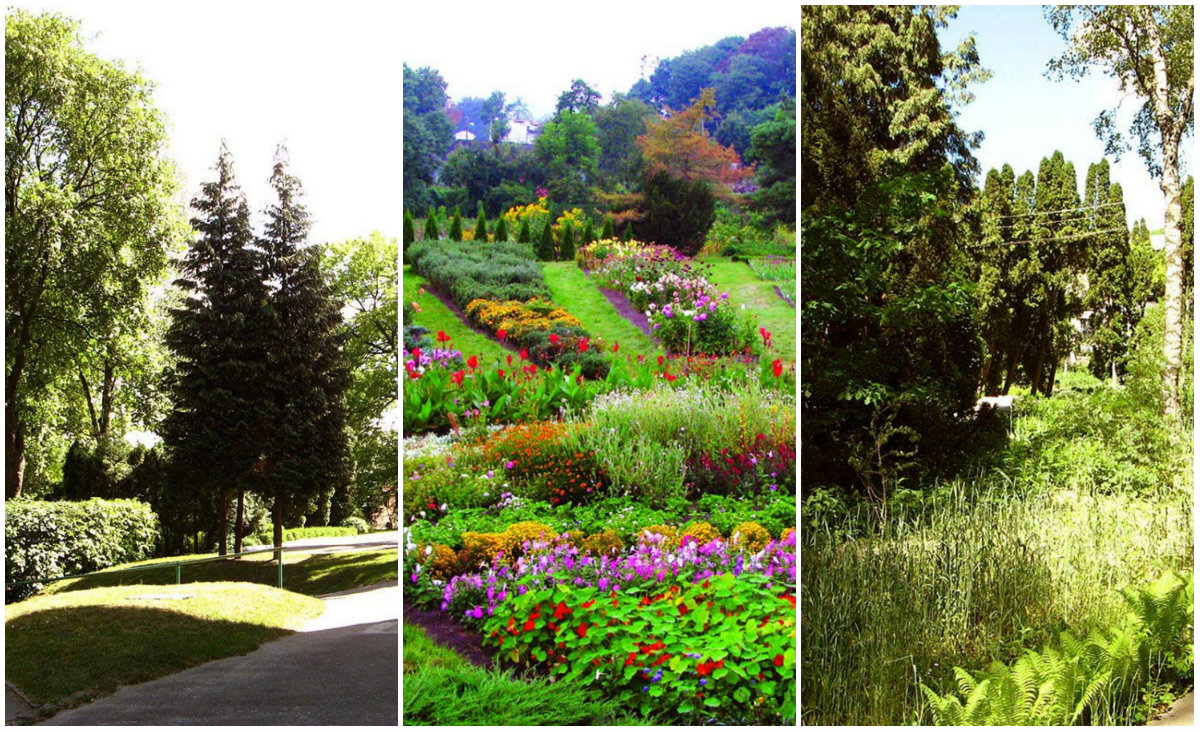 Три львівські ботанічні сади: історія і сучасність