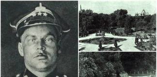 Як сільський хлоп у фюрери подався Як сільський хлоп у фюрери подався