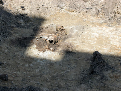 Масові людські захоронення у подвір’ї Національного музею-меморіалу «Тюрма на Лонцького»