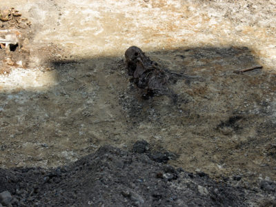 Масові людські захоронення у подвір’ї Національного музею-меморіалу «Тюрма на Лонцького»