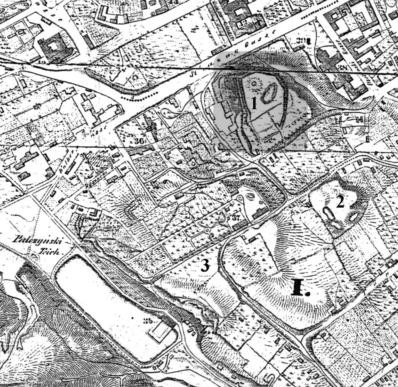 Узгір’я Цитаделі на плані міста 1844 р. Фоном виділено “Турецькі шанці”, цифрами позначено: 1 – гора Вроновських, 2 – Каліча гора, 3 – Познанська гора. (джерело фото https://we.org.ua/history/budivnytstvo-lvivskoyi-tsytadeli/#imageclose-798)