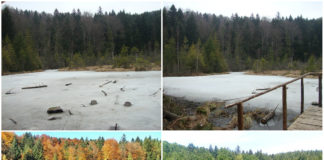 Мертве, або Журавлине озеро на Львівщині