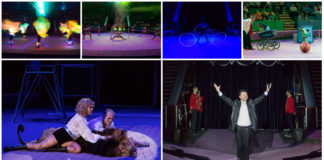 Справжні "Африканські пристрасті" на арені Львівського цирку