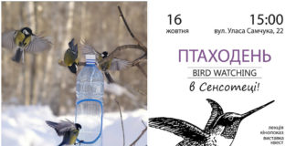Сенсотека запрошує на Птаходень (Bird watching) в Стрийському парку