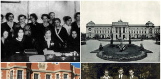 Іван Лисяк-Рудницький: від емігранта-контролера до реформатора освіти