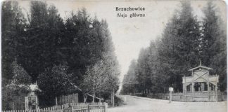 Брюховичі, головна алея. Фото 1913 року