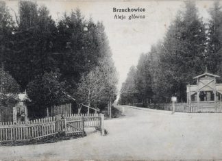 Брюховичі, головна алея. Фото 1913 року