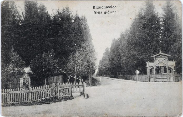 Брюховичі, головна алея. Фото 1913 року